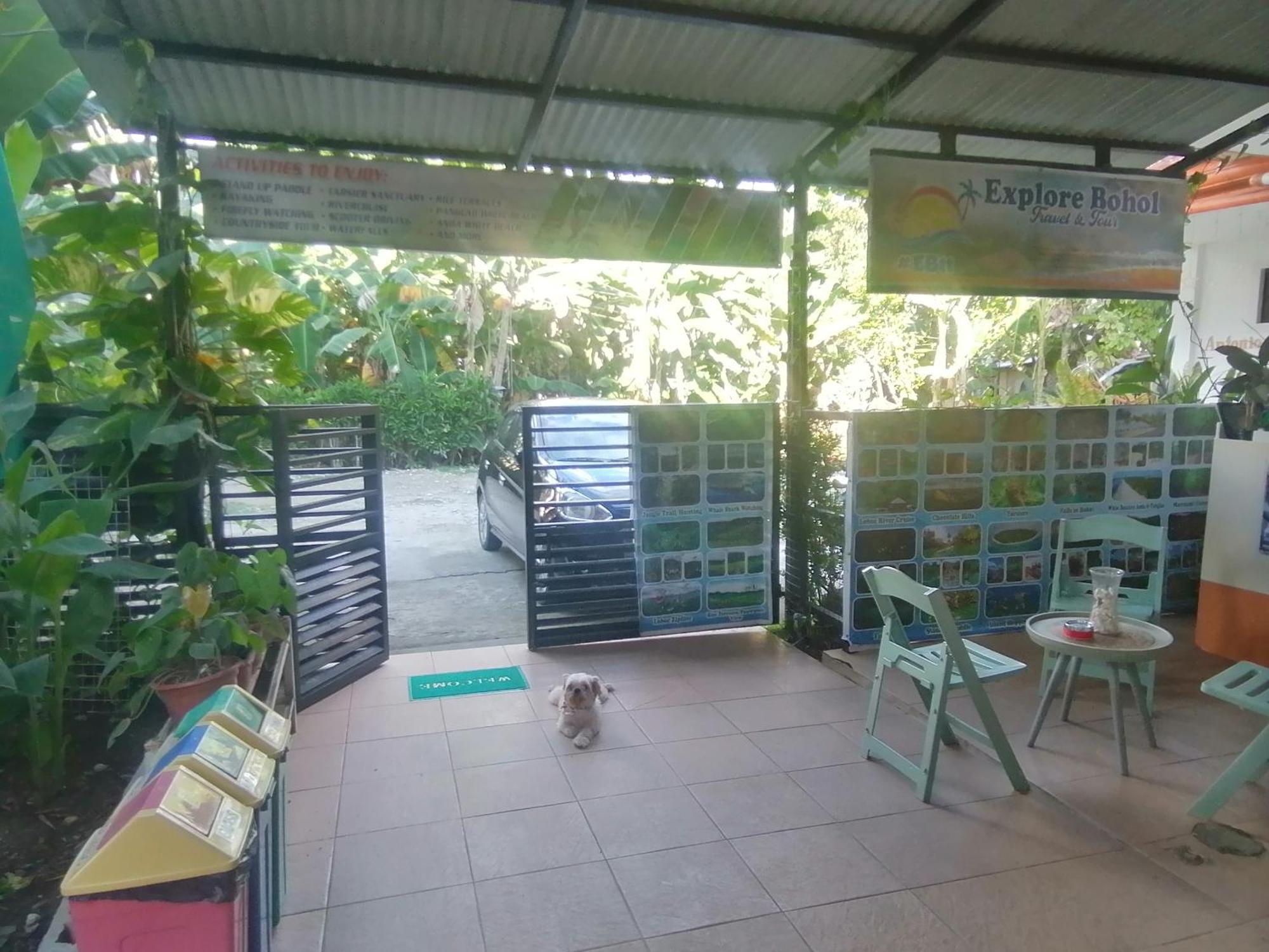 Andresas Homestay Loboc Værelse billede